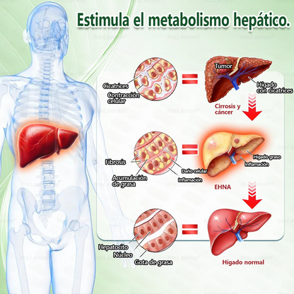 🎁 ¡Solo quedan 5 cajas! Disfruta ahora de un 50% de descuento adicional. Recupera tu forma y cuida tu salud. ¡Pierde peso ahora o no tendrás otra oportunidad hasta el próximo año!