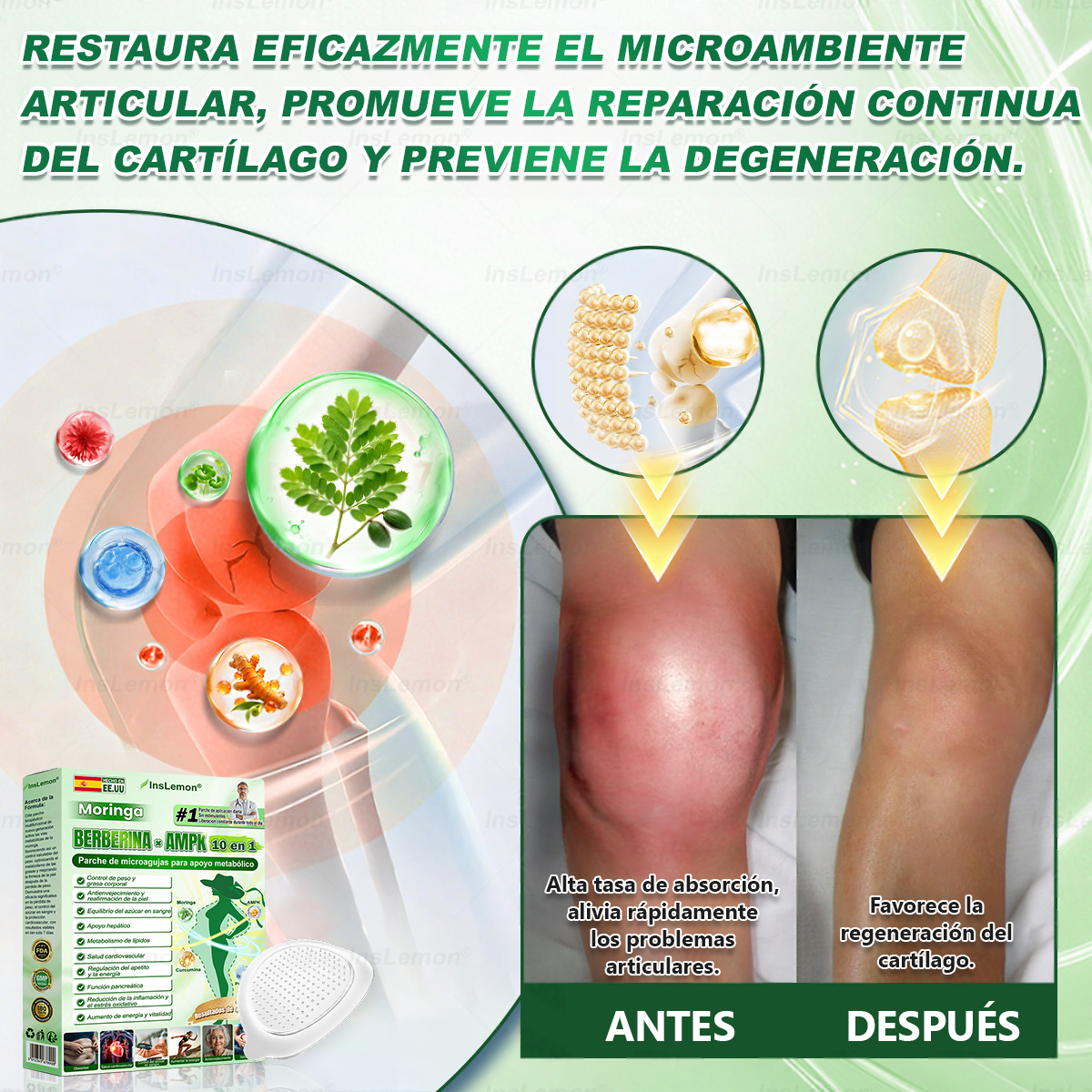 🎁 ¡Solo quedan 5 cajas! Disfruta ahora de un 50% de descuento adicional. Recupera tu forma y cuida tu salud. ¡Pierde peso ahora o no tendrás otra oportunidad hasta el próximo año!